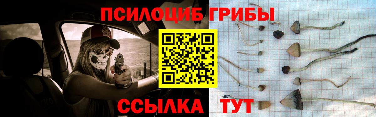 Псилоцибиновые грибы прущие грибы Людиново